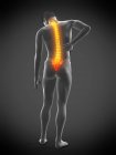 Вид ззаду чоловічого тіла з запаленням і болем у спині, концептуальна ілюстрація . — стокове фото
