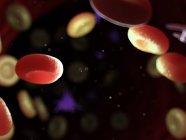 Diseased blood cells with bacteria, computer illustration. — Stock Photo