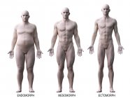 Maschio diversi tipi di corpo, illustrazione del computer . — Foto stock
