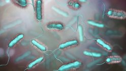 Illustrazione digitale dei batteri della Legionella pneumophila, causa della malattia dei Legionari . — Foto stock