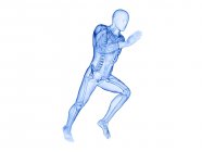 Esqueleto en la silueta del cuerpo del corredor en acción, ilustración por computadora . - foto de stock