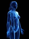 Esqueleto feminino em silhueta corporal transparente, ilustração digital . — Fotografia de Stock