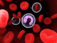 Моноцит в крови человека, компьютерная иллюстрация
. — стоковое фото