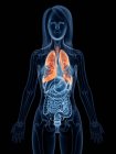 Pulmones de color en el cuerpo femenino transparente sobre fondo negro, ilustración por ordenador . - foto de stock