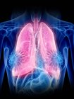 Colored lungs in transparent female body on black background, computer illustration. — Stock Photo