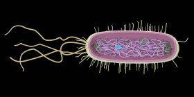 Single abstract bacterium on black background, computer illustration. — Stock Photo