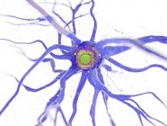 Estrutura da célula nervosa na seção transversal sobre fundo branco, ilustração digital . — Fotografia de Stock