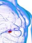 Erkrankte Gallenblase im abstrakten menschlichen Körper, konzeptionelle digitale Illustration. — Stockfoto