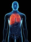 Pulmones enfermos en cuerpo masculino transparente sobre fondo negro, ilustración por computadora
. - foto de stock
