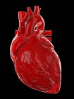 Червоне людське серце на чорному тлі, комп'ютерна ілюстрація. — Stock Photo