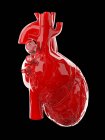 Червоне людське серце на чорному тлі, комп'ютерна ілюстрація . — стокове фото