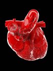 Красное человеческое сердце на черном фоне, компьютерная иллюстрация . — стоковое фото