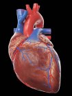 Modelo de coração humano realista em fundo preto, ilustração de computador . — Fotografia de Stock