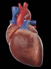 Realistisches menschliches Herzmodell auf schwarzem Hintergrund, Computerillustration. — Stockfoto