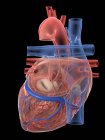 Corazón humano realista y vasos sanguíneos sobre fondo negro, ilustración digital . - foto de stock
