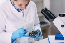 Portrait of young archaeologist analyzing charred wood in petri dish. — Stock Photo
