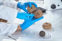 Archaeologists analyzing ancient artifacts in anthropology laboratory. — Stock Photo