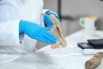 Investigador arqueológico en laboratorio demostrando el uso de astas como herramienta en la prehistoria . - foto de stock
