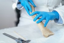 Chercheur en archéologie en laboratoire démontrant l'utilisation du bois comme outil dans la préhistoire . — Photo de stock