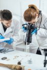 Young archaeology researchers documenting lithics with camera in laboratory. — Stock Photo