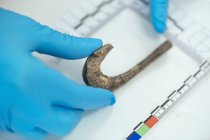 Hands of archaeologist measuring ancient hook with straightedge in archaeology lab. — Stock Photo