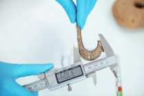 Hands of archaeologist measuring ancient hook with digital caliper. — Stock Photo