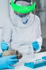 Bioarchaeologists analyzing human osteological material in laboratory. — Stock Photo