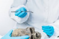 Arqueólogos analisando crânio humano no laboratório de arqueologia de DNA . — Fotografia de Stock