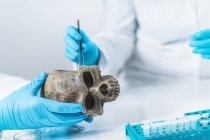 Archaeologists analyzing human skull in DNA archaeology lab. — Stock Photo