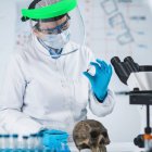 Cientista feminina segurando micro tubo com amostra em laboratório de DNA antigo com crânio humano na mesa . — Fotografia de Stock