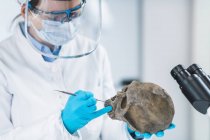 Female scientist holding and analyzing human skull in ancient DNA laboratory. — Stock Photo