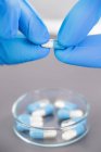 Médico manos en guantes azules apertura píldora cápsula por encima de placa petri mientras que la investigación farmacéutica . - foto de stock
