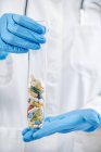 Mãos cientista farmacêutico segurando vidro de laboratório preenchido com pílulas coloridas . — Fotografia de Stock