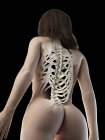 Cuerpo femenino abstracto con huesos visibles en la espalda, ilustración por computadora . - foto de stock