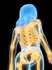 Abstrakter weiblicher Körper mit sichtbaren Rückenknochen, Computerillustration. — Stockfoto