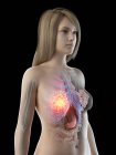 Женское абстрактное тело с сияющим раком молочной железы, концептуальная компьютерная иллюстрация
. — стоковое фото