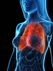 Diseased lungs in transparent female body on black background, computer illustration. — Stock Photo