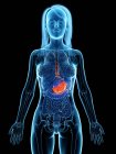 Больной желудок в абстрактном женском теле, цифровая иллюстрация . — стоковое фото