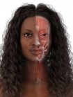 Viso femminile che mostra anatomia facciale, illustrazione al computer . — Foto stock