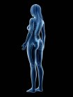 Esqueleto visible en silueta de cuerpo femenino sobre fondo negro, ilustración por ordenador . - foto de stock