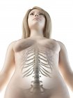 Lendenwirbelsäule im weiblichen Körper, Computerillustration — Stockfoto