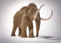 Woolly mamut ilustración 3D realista, perspectiva frontal sobre fondo blanco y sombra caída . - foto de stock