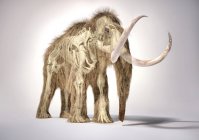 Ilustración 3D realista de mamut lanudo con esqueleto en efecto fantasma, perspectiva frontal sobre fondo blanco y sombra caída . - foto de stock
