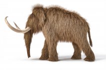 Woolly mamut ilustración 3D realista, vista lateral sobre fondo blanco y sombra caída . - foto de stock