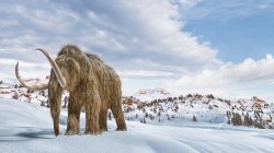 El mamut lanudo fijado en ambiente de la escena del invierno, ilustración 3d realista . - foto de stock