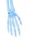 Anatomia do esqueleto humano ossos da mão, ilustração do computador . — Fotografia de Stock