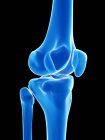 Anatomia delle ossa del ginocchio, illustrazione al computer . — Foto stock
