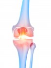 Anatomia umana del dolore al ginocchio, illustrazione concettuale del computer . — Foto stock