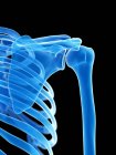 Menschliches Skelett mit Schultergelenk, digitale Illustration. — Stockfoto