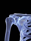 Людський скелет з плечовим суглобом, цифрова ілюстрація . — стокове фото